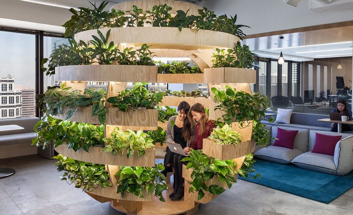 human health & fitness issues