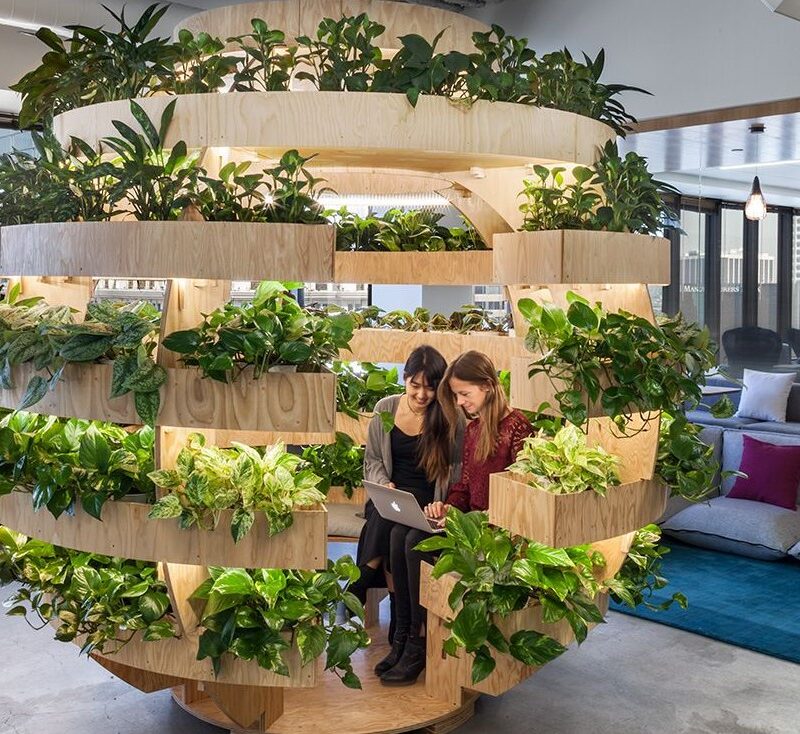 How do indoor plants help to reduce human health & fitness issues?