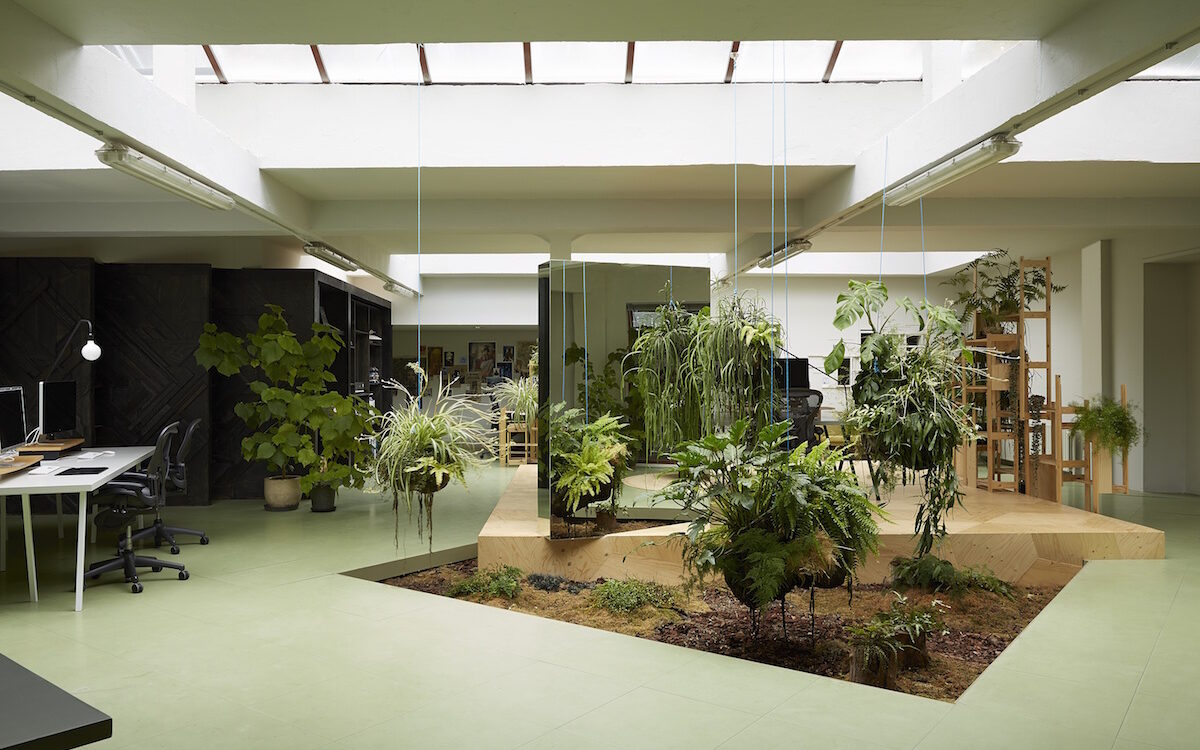 human health & fitness issues