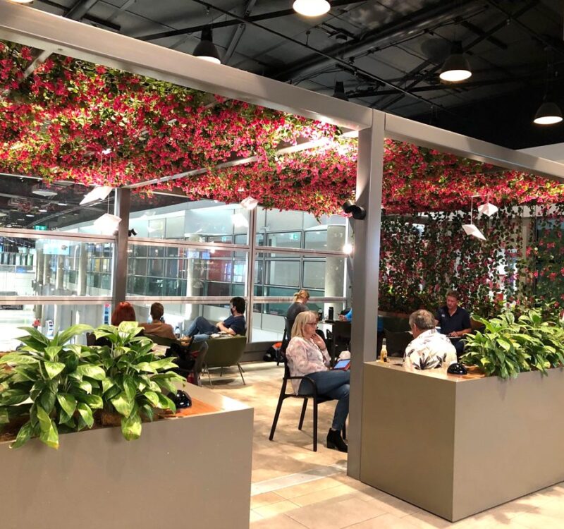 How Much Does Commercial Plantscaping Cost? A Transparent Pricing Breakdown