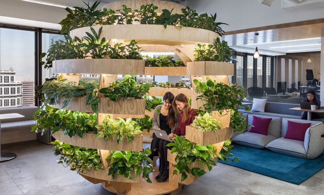 305abf669cdf1964111aa7870cb48917